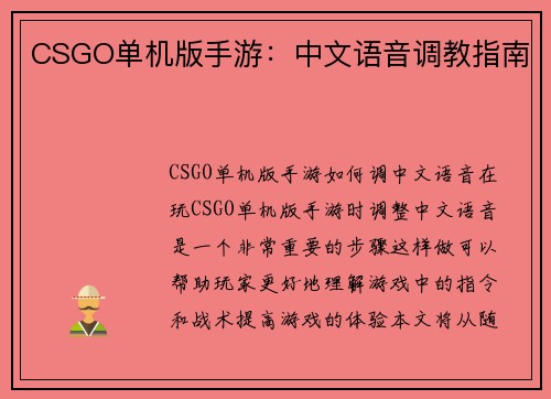 CSGO单机版手游：中文语音调教指南