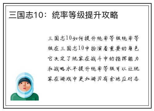 三国志10：统率等级提升攻略
